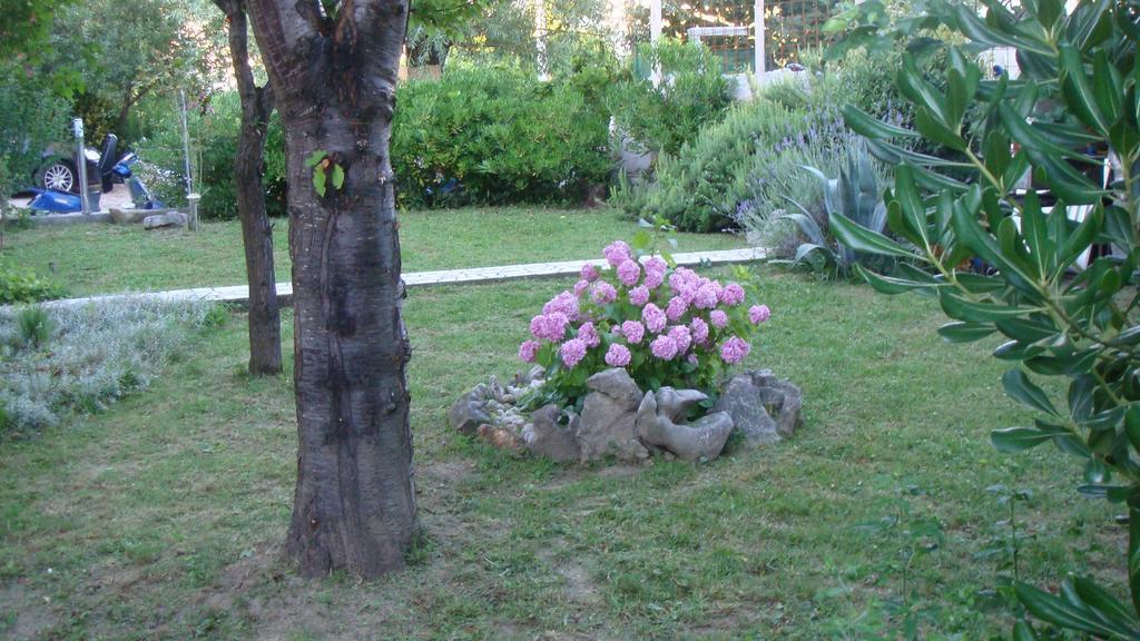 Apartments Valentino Supetarska Draga Dış mekan fotoğraf